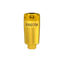 Scan Body Compatible with BioHorizons® Implants