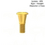 Cover Screw Compatible with DIO Implants