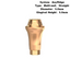 Multi Straight Abutment Compatible with MegaGen AnyRidge