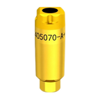 Scan Body Compatible with BioHorizons® Implants
