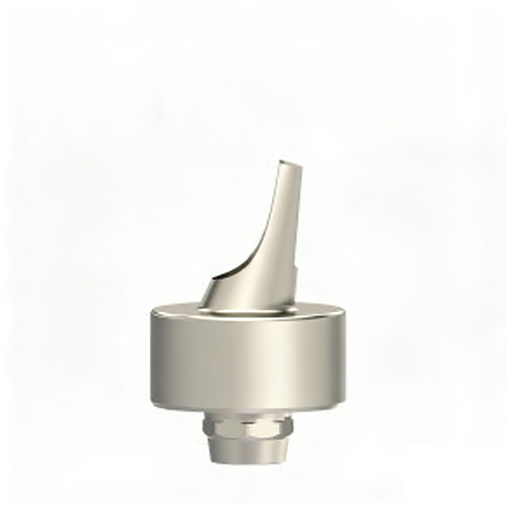 Angled Abutment Compatible with Straumann