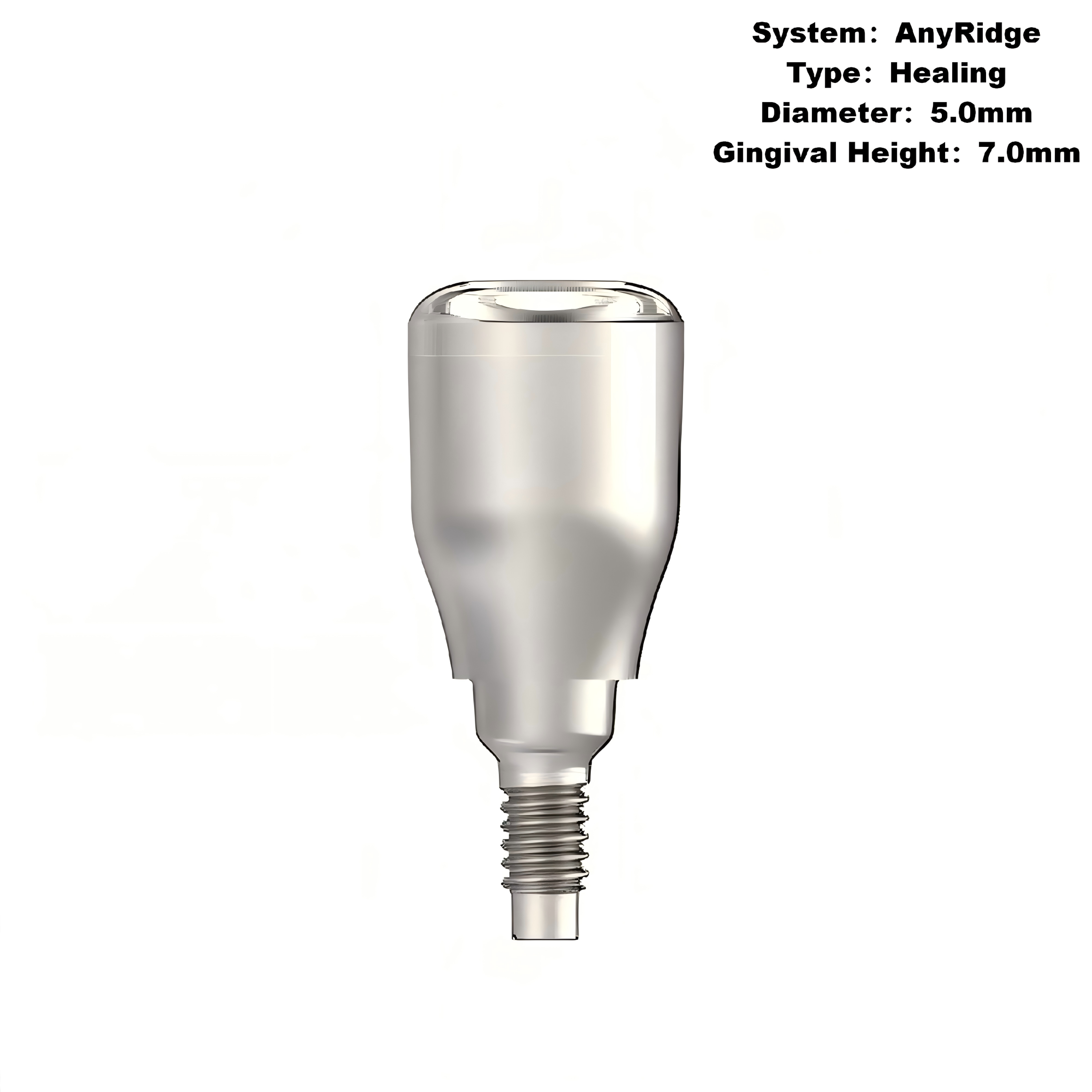Healing Abutment Compatible with MegaGen AnyRidge