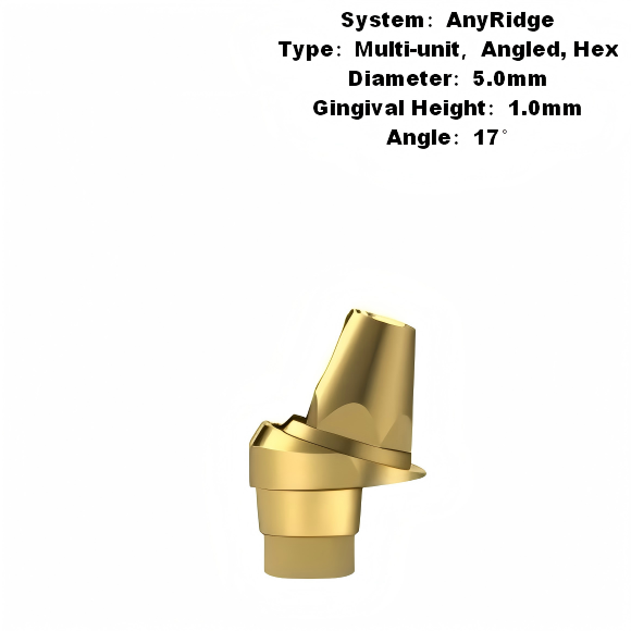 Multi Angled Abutment Compatible with MegaGen AnyRidge