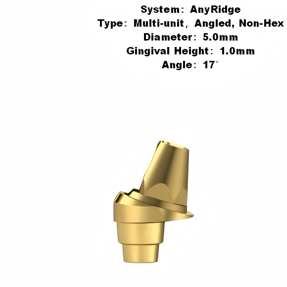 Multi Angled Abutment Compatible with MegaGen AnyRidge