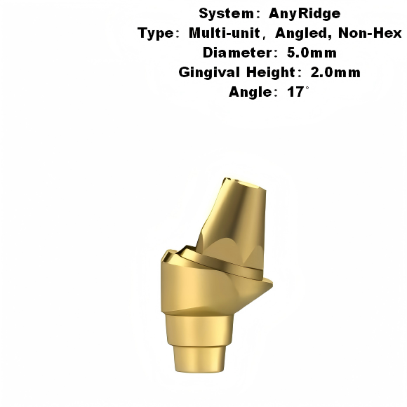 Multi Angled Abutment Compatible with MegaGen AnyRidge