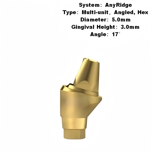 Multi Angled Abutment Compatible with MegaGen AnyRidge
