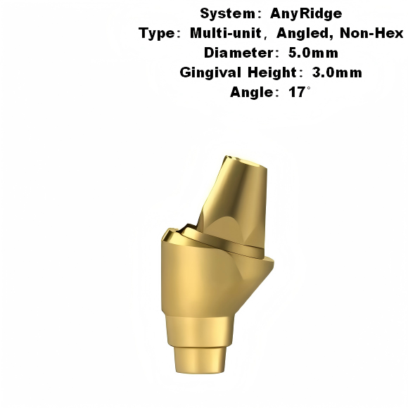 Multi Angled Abutment Compatible with MegaGen AnyRidge