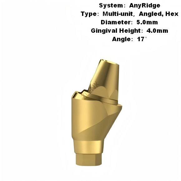 Multi Angled Abutment Compatible with MegaGen AnyRidge