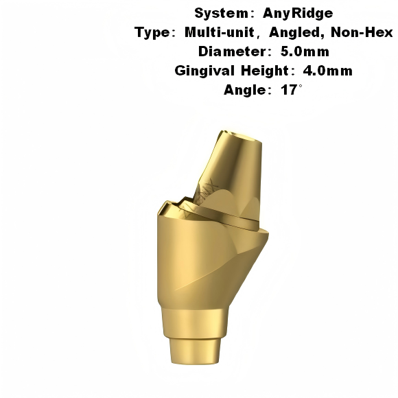 Multi Angled Abutment Compatible with MegaGen AnyRidge