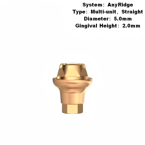 Multi Straight Abutment Compatible with MegaGen AnyRidge