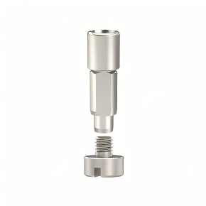 Digital Analog Compatible with Straumann Implants