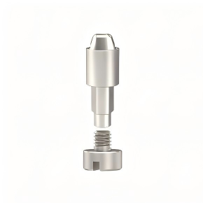 Digital Analog Compatible with Straumann Implants