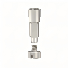 Digital Analog Compatible with Straumann Implants