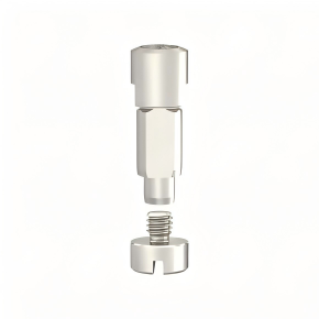 Digital Analog Compatible with Straumann Implants