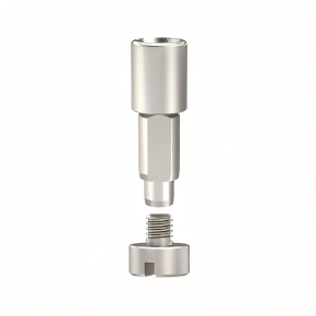 Digital Analog Compatible with Straumann Implants