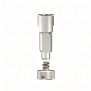 Digital Analog Compatible with Straumann Implants