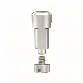 Digital Analog Compatible with Straumann Implants