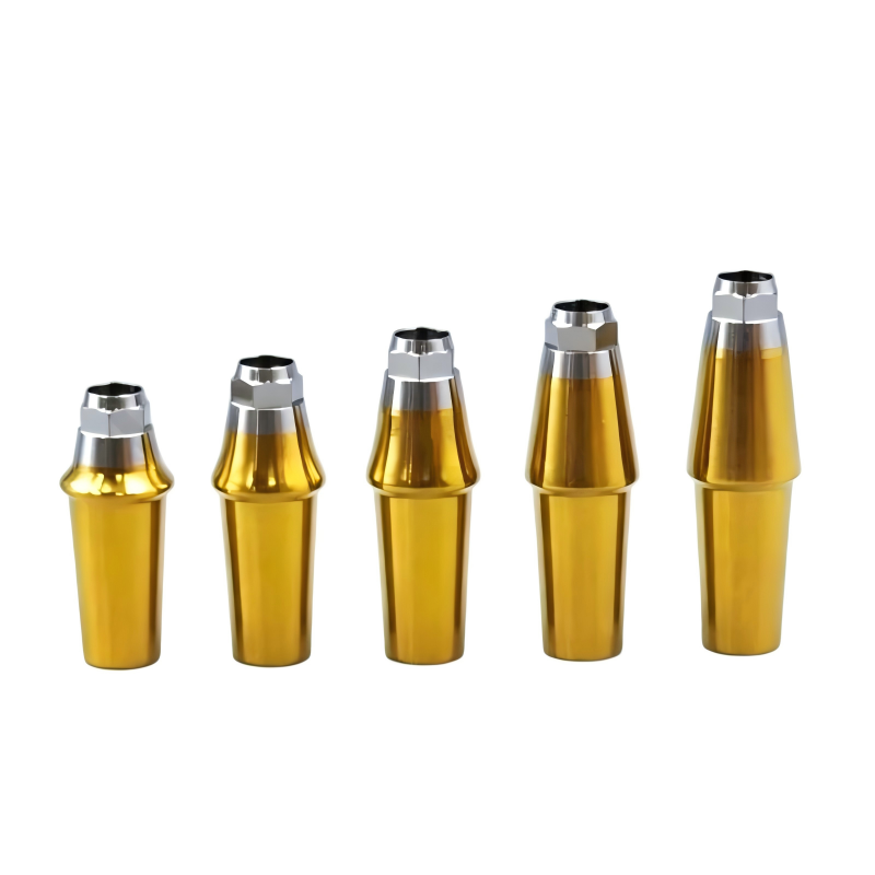 Straight Abutment Compatible with DIO Implants