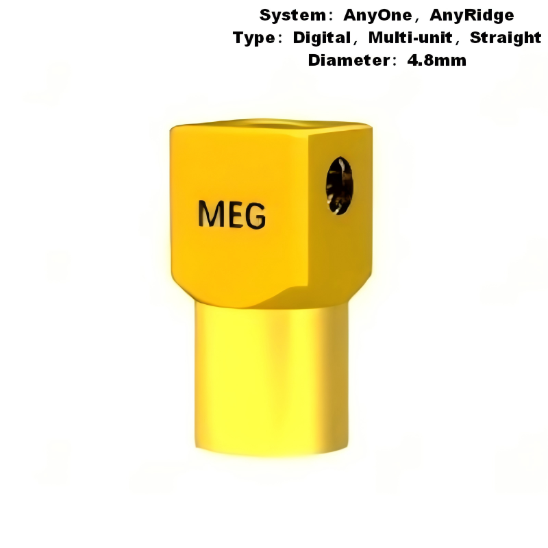 Multi Scan Body Compatible with MegaGen AnyRidge