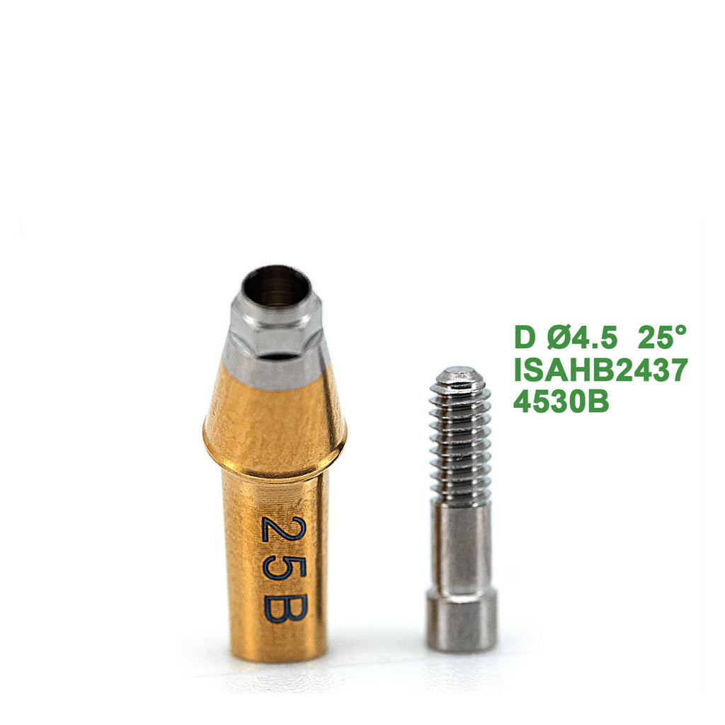 Angled Abutment Compatible with Neobiotech Implants