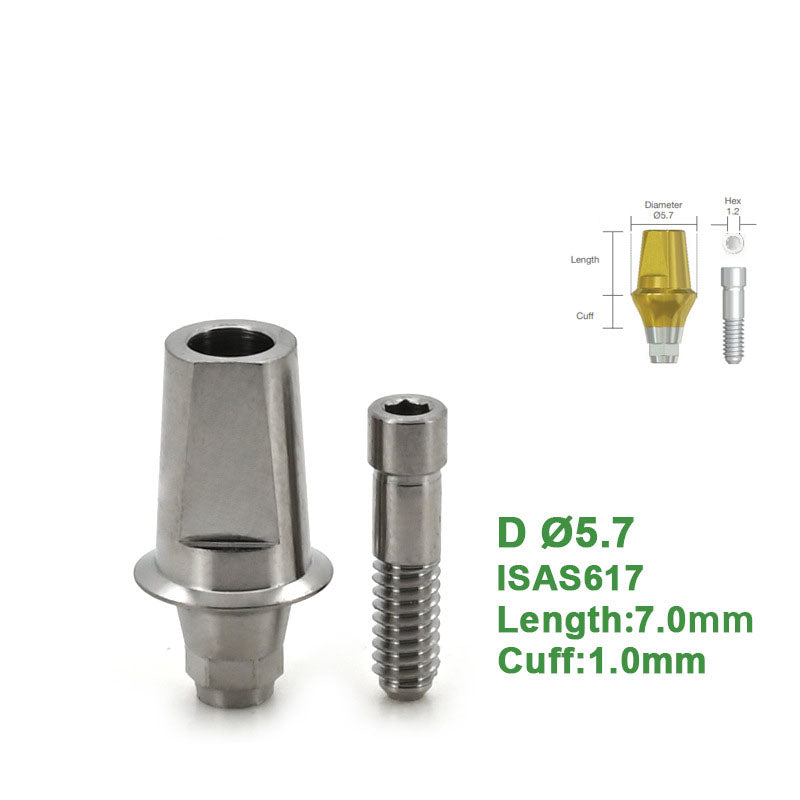 Straight Abutment Compatible with Neobiotech Implants