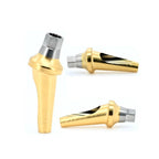 Regular-Angled Abutment Compatible with Osstem
