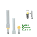 Multi Straight Abutment Compatible with Dentium Implants