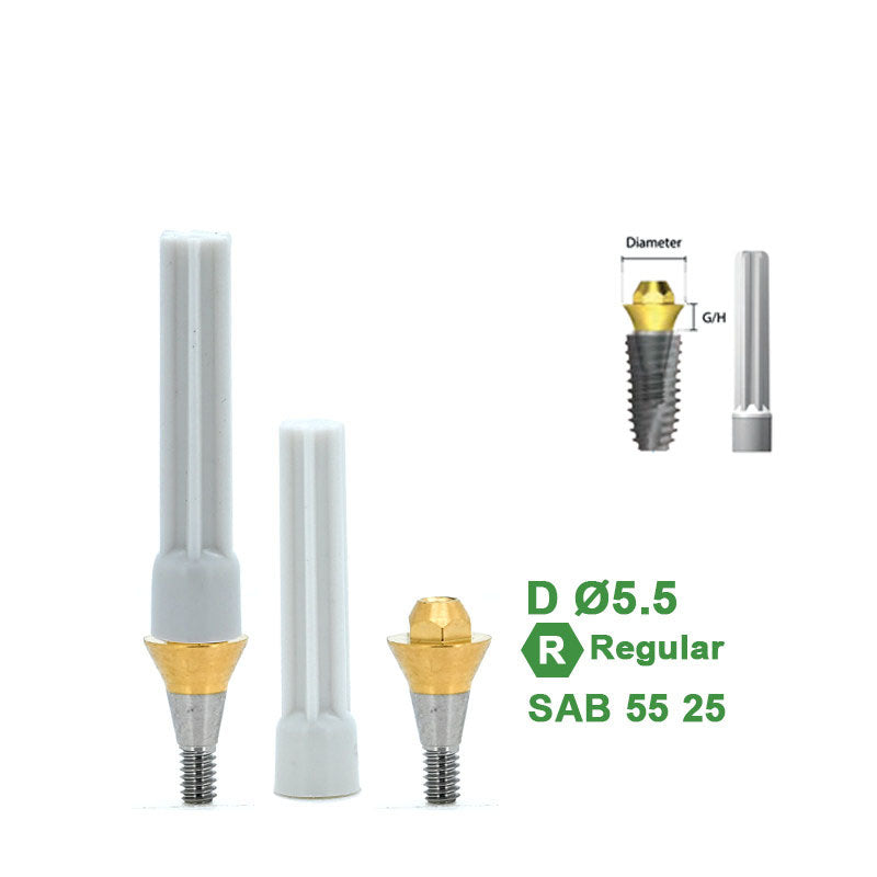 Multi Straight Abutment Compatible with Dentium Implants
