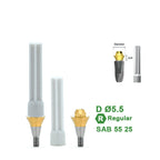 Multi Straight Abutment Compatible with Dentium Implants