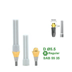 Multi Straight Abutment Compatible with Dentium Implants