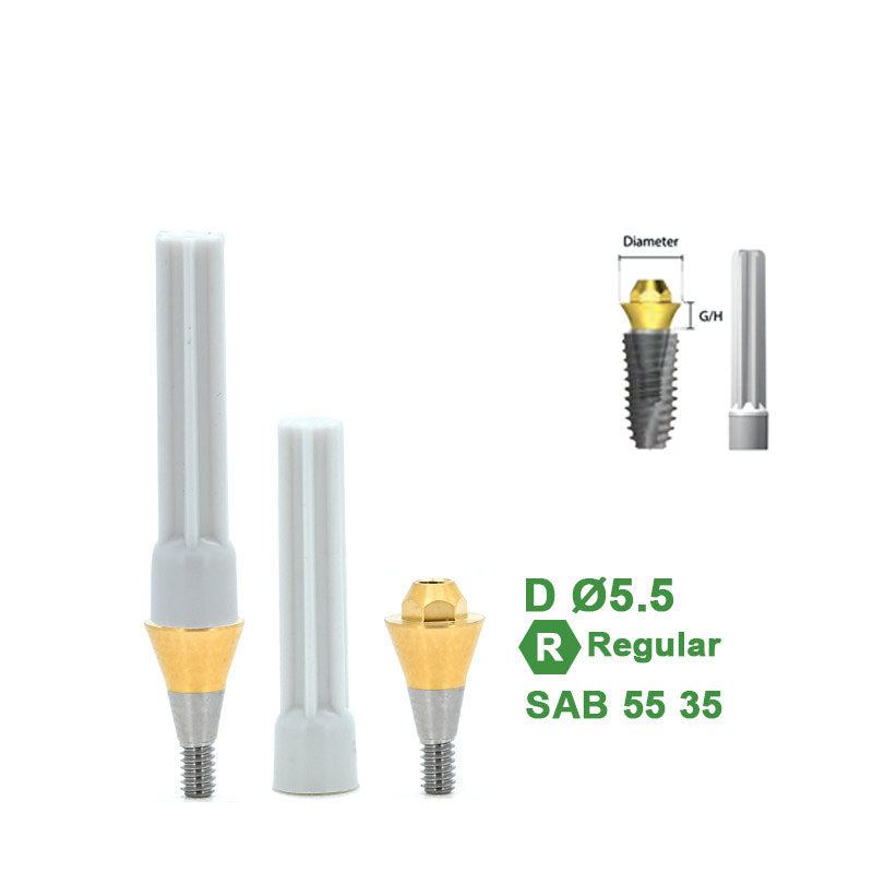 Multi Straight Abutment Compatible with Dentium Implants