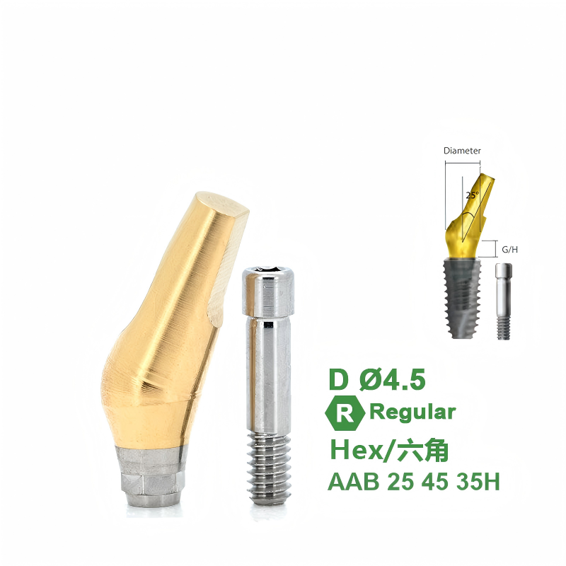 Angled Abutment Compatible with Dentium Implants
