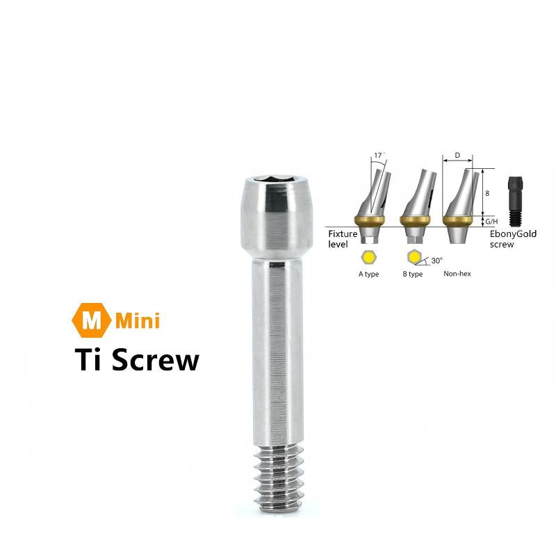 Mini-Angled Abutment Compatible with Osstem