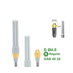Multi Straight Abutment Compatible with Dentium Implants