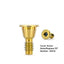 Cover Screw Compatible with Nobel® RP & NP Implants
