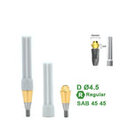 Multi Straight Abutment Compatible with Dentium Implants