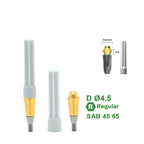 Multi Straight Abutment Compatible with Dentium Implants