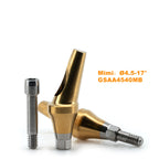 Mini-Angled Abutment Compatible with Osstem