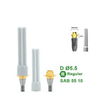 Multi Straight Abutment Compatible with Dentium Implants