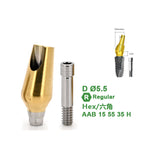 Angled Abutment Compatible with Dentium Implants