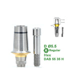 Straight Abutment Compatible with Dentium Implants